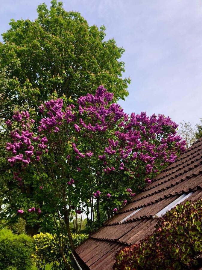 Naturparadies In Aurich Extérieur photo